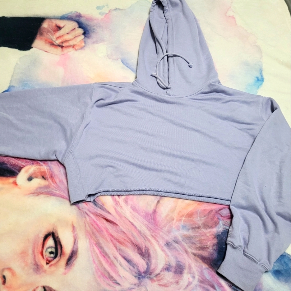 Aritzia cropped boyfriend hoodie airy fleece